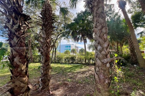 Land in Fort Lauderdale, Florida № 2034173
