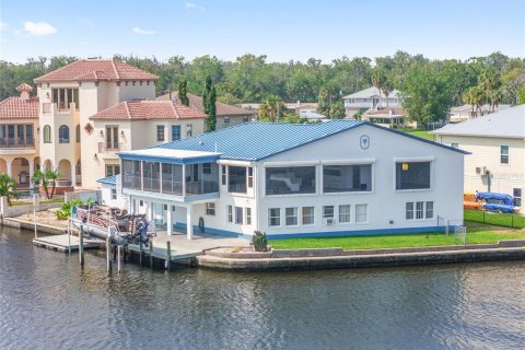 House in Crystal River, Florida 3 bedrooms, 206.24 sq.m. № 1574190 - photo 1