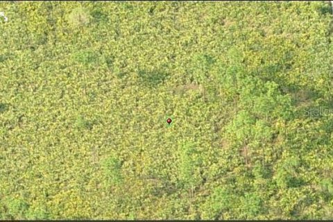 Land in Orlando, Florida № 2160503 - photo 3