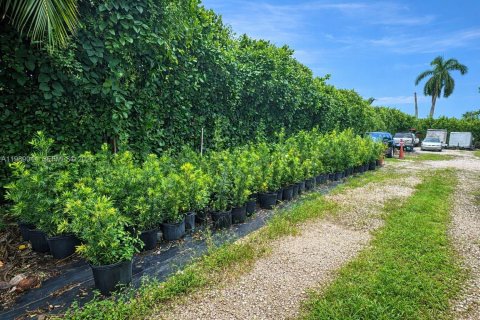 Immobilier commercial à vendre à Homestead, Floride № 2057486 - photo 2