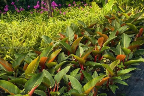 Immobilier commercial à vendre à Homestead, Floride № 2057486 - photo 4