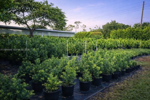 Immobilier commercial à vendre à Homestead, Floride № 2057486 - photo 3