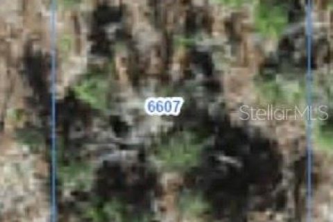 Land in Citrus Springs, Florida № 2388207