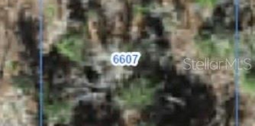 Land in Citrus Springs, Florida № 2388207