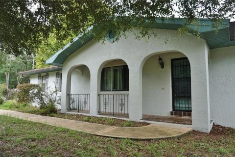 Villa ou maison à vendre à Inverness, Floride: 3 chambres № 2404506 - photo 4