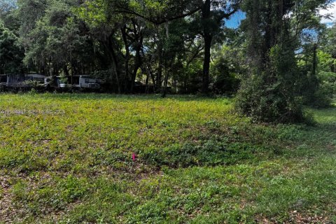 Terreno en Ocala, Florida № 2170517