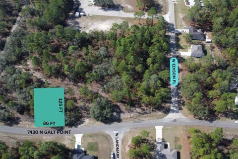 Land in Citrus Springs, Florida № 2228998