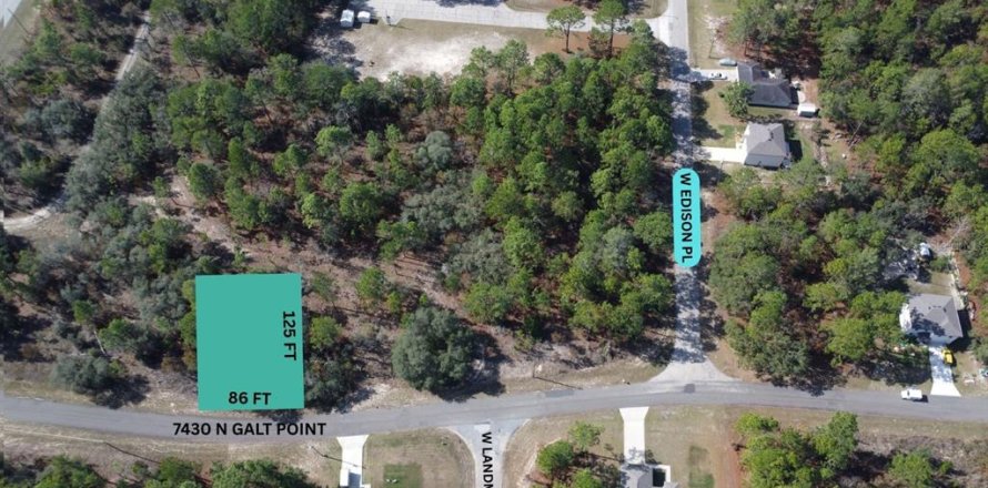 Land in Citrus Springs, Florida № 2228998