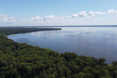 Terreno en venta en Gainesville, Florida № 1833533 - foto 6