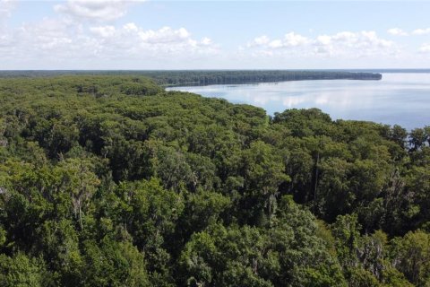 Terreno en venta en Gainesville, Florida № 1833533 - foto 1