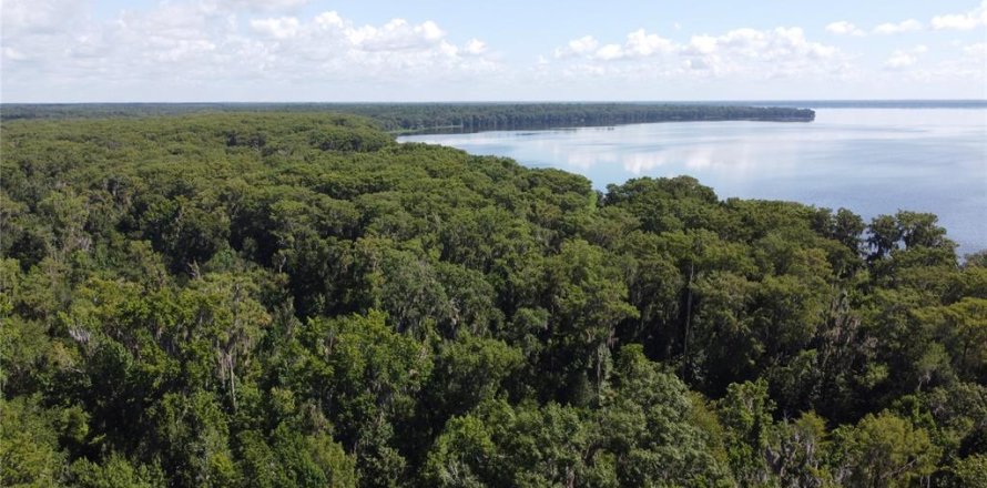 Terreno en Gainesville, Florida № 1833533