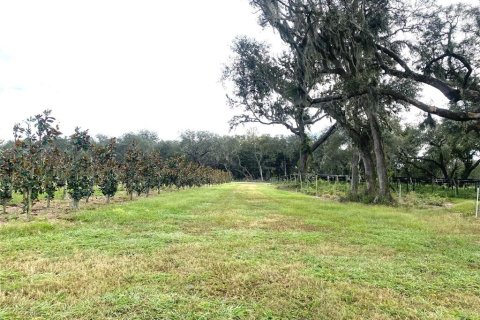 Land in Seville, Florida № 1429176 - photo 7