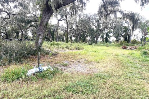 Land in Seville, Florida № 1429176 - photo 11