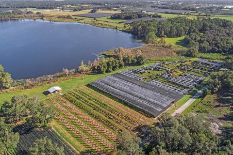 Land in Seville, Florida № 1429176 - photo 12