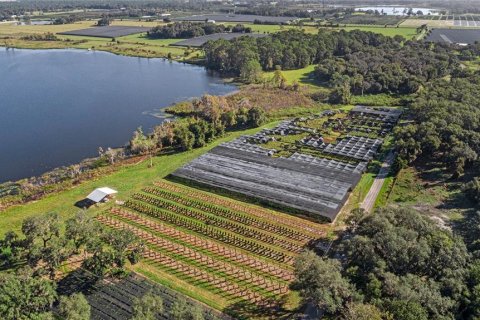 Land in Seville, Florida № 1429176 - photo 14