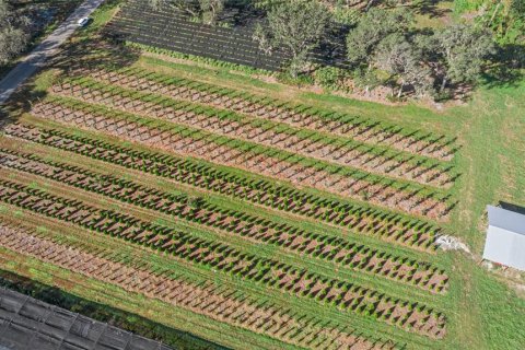 Land in Seville, Florida № 1429176 - photo 13