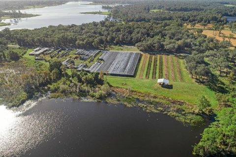 Land in Seville, Florida № 1429176 - photo 4