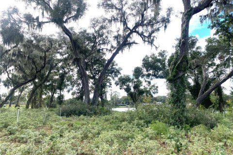 Land in Seville, Florida № 1429176 - photo 9