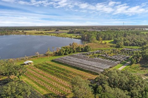 Land in Seville, Florida № 1429176 - photo 1