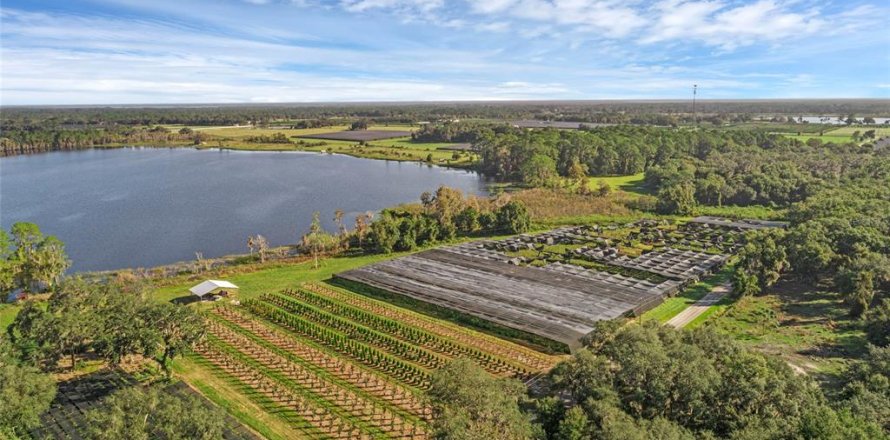 Land in Seville, Florida № 1429176