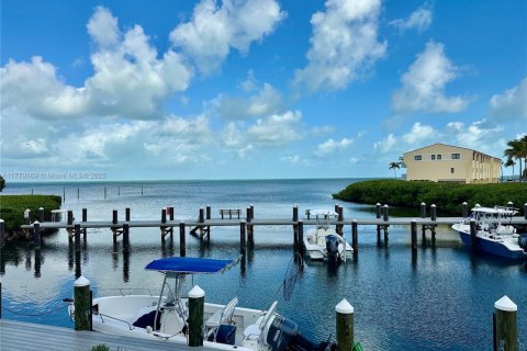 Condo in Tavernier, Florida, 2 bedrooms  № 1868684 - photo 11