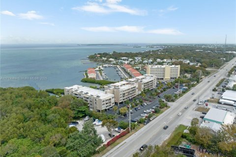 Condo in Tavernier, Florida, 2 bedrooms  № 1868684 - photo 2