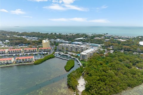 Condo in Tavernier, Florida, 2 bedrooms  № 1868684 - photo 7