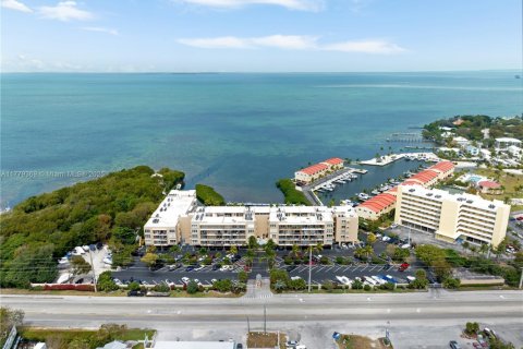 Condo in Tavernier, Florida, 2 bedrooms  № 1868684 - photo 5