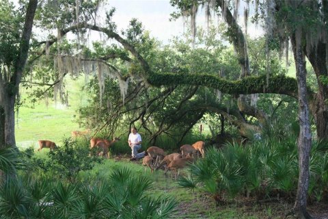 Casa en venta en Apopka, Florida, 4 dormitorios, 279.82 m2 № 2210413 - foto 10