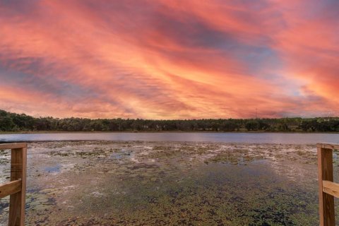 Villa ou maison à Weirsdale, Floride 5 chambres, 225.01 m2 № 2093253
