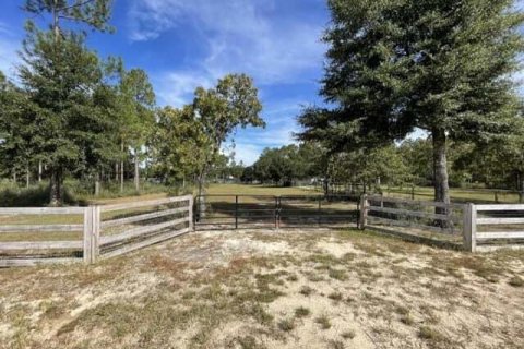Land in De Funiak Springs, Florida № 558850 - photo 1