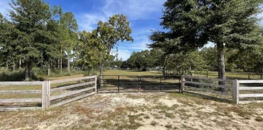 Land in De Funiak Springs, Florida № 558850