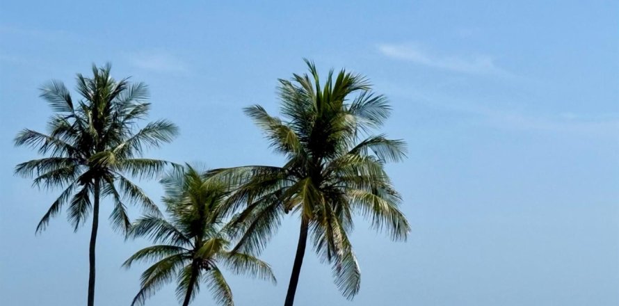Condo in Palm Beach, Florida, 3 bedrooms  № 2158427