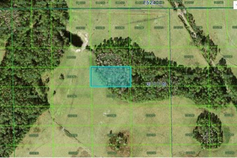 Terreno en Polk City, Florida № 2235308