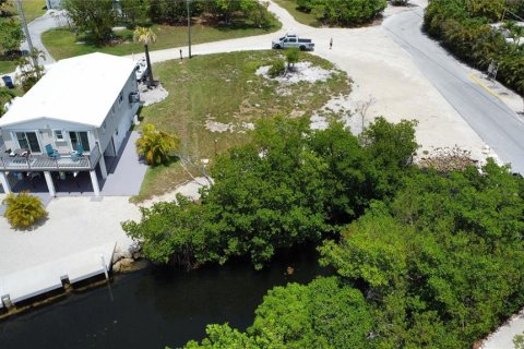 Land in Big Pine Key, Florida № 1815639 - photo 3