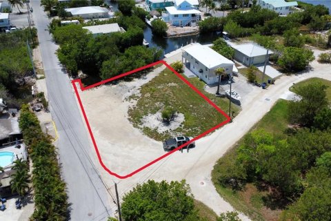 Land in Big Pine Key, Florida № 1815639 - photo 2