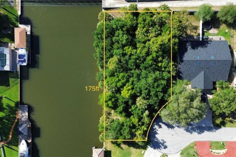 Terrain à Palm Coast, Floride № 2433449