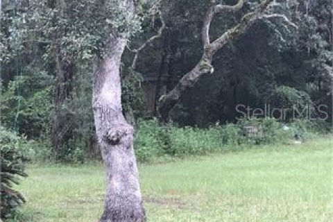 Land in Webster, Florida № 2290585