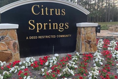 Land in Citrus Springs, Florida № 2162976 - photo 4