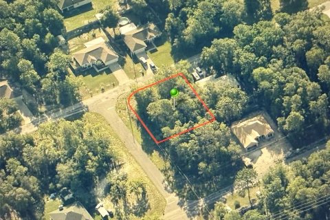 Land in Citrus Springs, Florida № 2162976