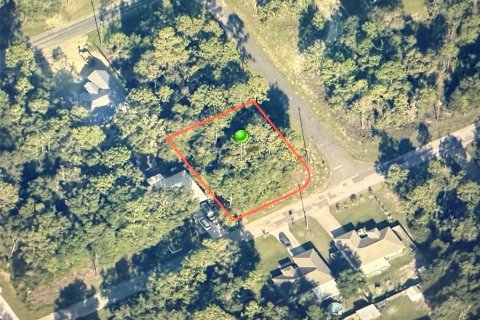 Land in Citrus Springs, Florida № 2162976 - photo 2