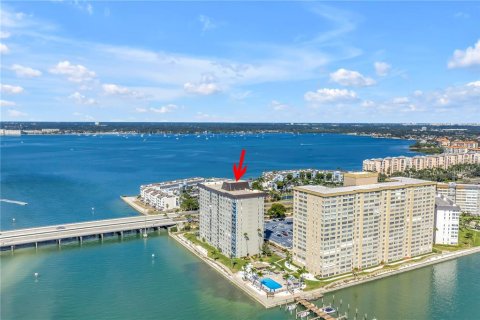 Condo à Saint Petersburg, Floride, 2 chambres № 2135771