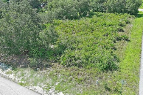Land in Lehigh Acres, Florida № 2164341 - photo 3