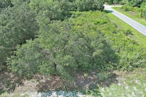 Land in Lehigh Acres, Florida № 2164341 - photo 4