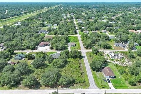 Land in Lehigh Acres, Florida № 2164341 - photo 10