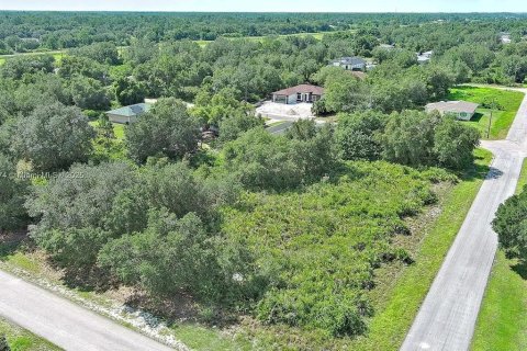 Land in Lehigh Acres, Florida № 2164341