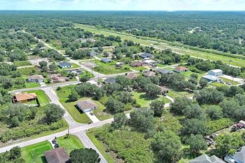 Land in Lehigh Acres, Florida № 2164341 - photo 17