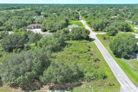 Land in Lehigh Acres, Florida № 2164341 - photo 7