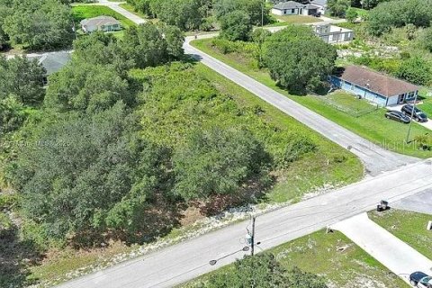 Land in Lehigh Acres, Florida № 2164341 - photo 6
