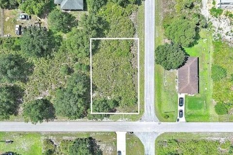 Land in Lehigh Acres, Florida № 2164341 - photo 2